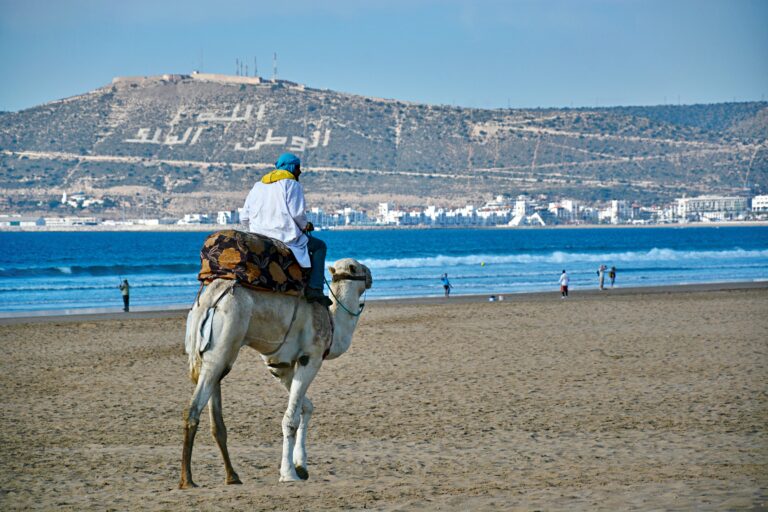 Sun, Surf & Souks: Why You’ll Love Agadir